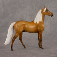 Lester LE-5 Chip Morgan by Madi Wiseman September $99 Chips