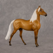 Lester LE-5 Chip Morgan by Madi Wiseman September $99 Chips