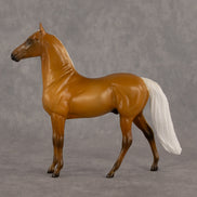 Lester LE-5 Chip Morgan by Madi Wiseman September $99 Chips