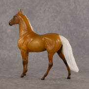 Lester LE-5 Chip Morgan by Madi Wiseman September $99 Chips