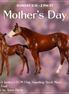 Liberty & Justice OOAK Chip FCM Stock Horse & Chip Foal by Anna Rieck SCD26