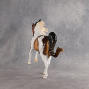 Light of Day OOAK FCM Harmony by Carissa Mathews 6.12.2026 GS26