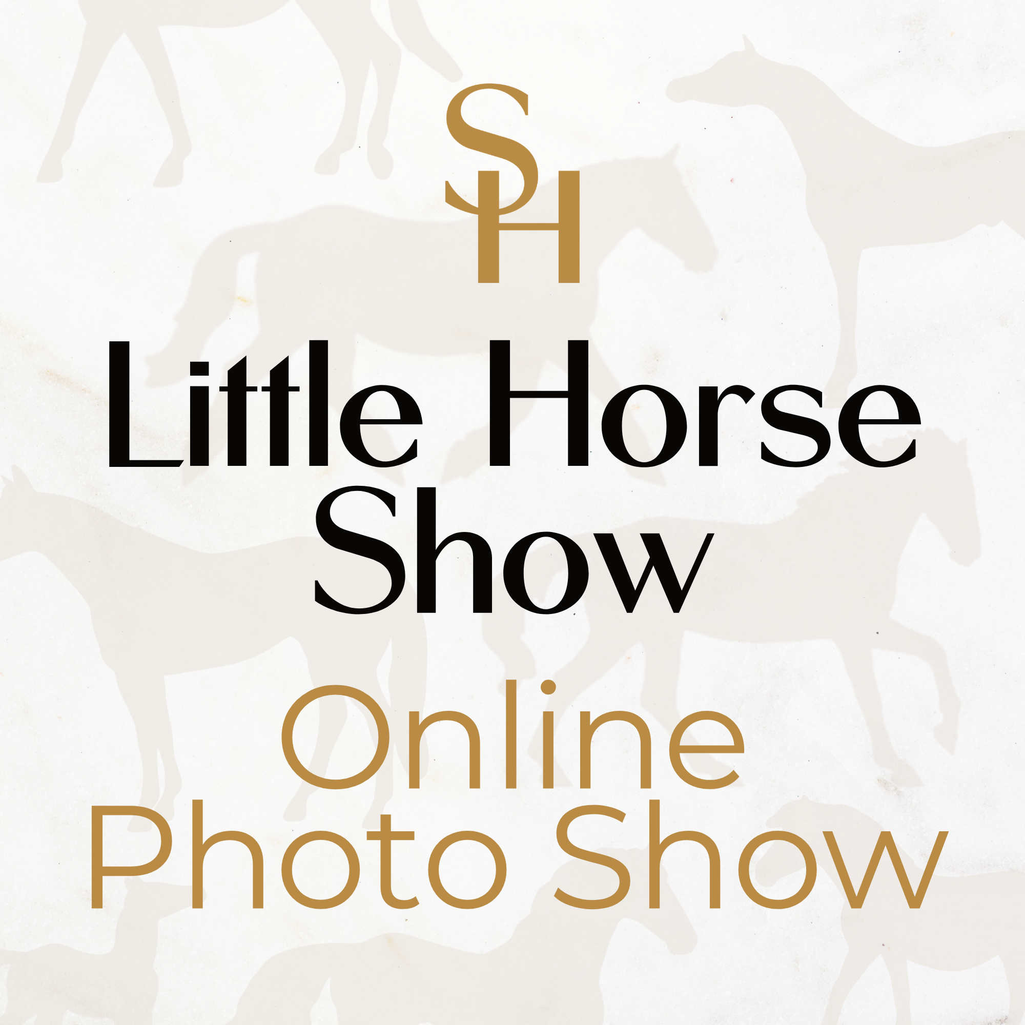 Stone Horses Little Horse Show Online Photo Show LHS26