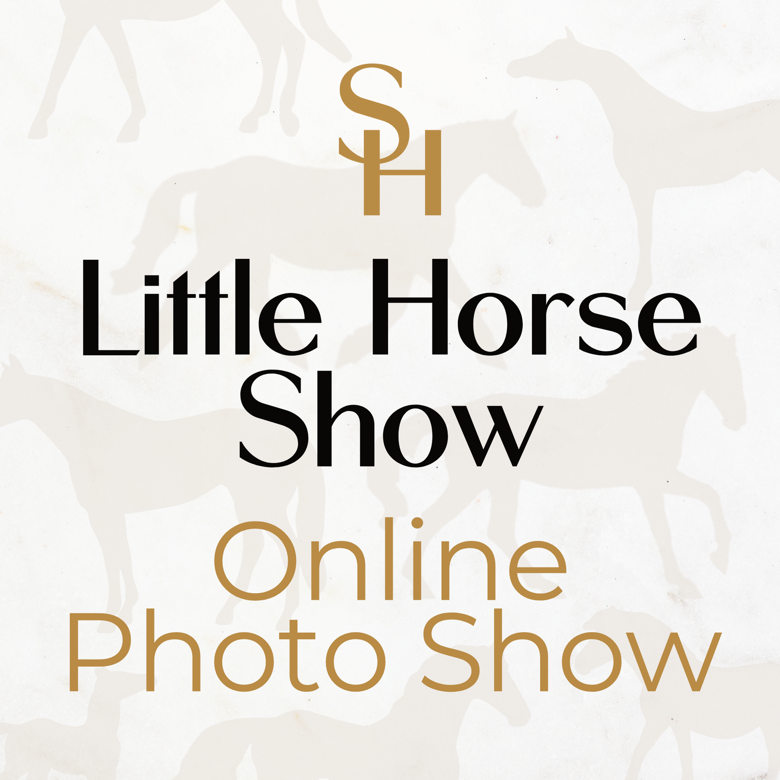 Stone Horses Little Horse Show Online Photo Show LHS26