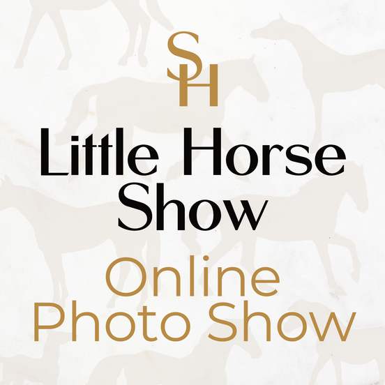 Stone Horses Little Horse Show Online Photo Show LHS26