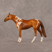 Loam OOAK Chip Thoroughbred by Dawn Quick LHS26