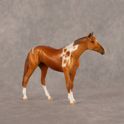 Loam OOAK Chip Thoroughbred by Dawn Quick LHS26