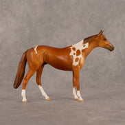 Loam OOAK Chip Thoroughbred by Dawn Quick LHS26
