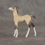 Location OOAK Chip Foal by Ellen Robbins SHCF26