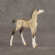 Location OOAK Chip Foal by Ellen Robbins SHCF26
