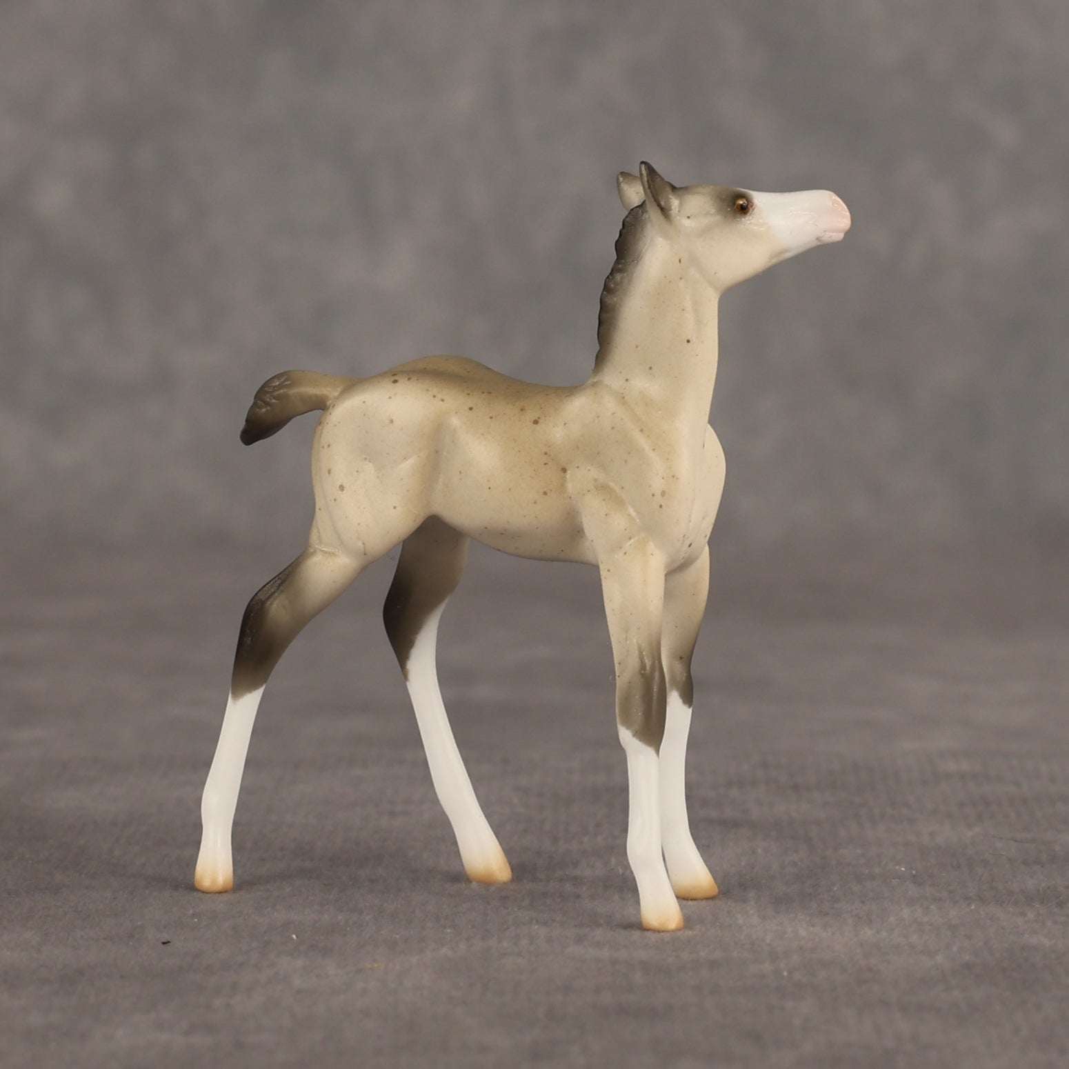 Location OOAK Chip Foal by Ellen Robbins SHCF26