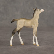 Location OOAK Chip Foal by Ellen Robbins SHCF26