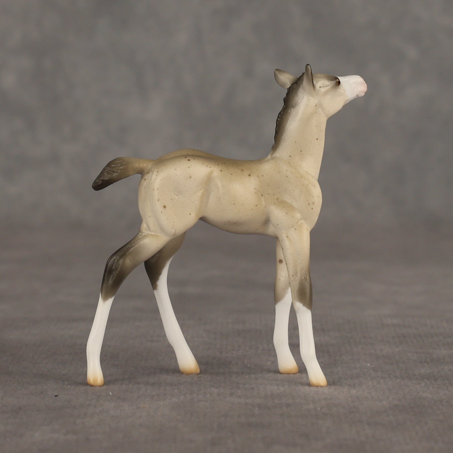 Location OOAK Chip Foal by Ellen Robbins SHCF26