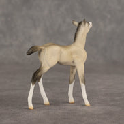 Location OOAK Chip Foal by Ellen Robbins SHCF26