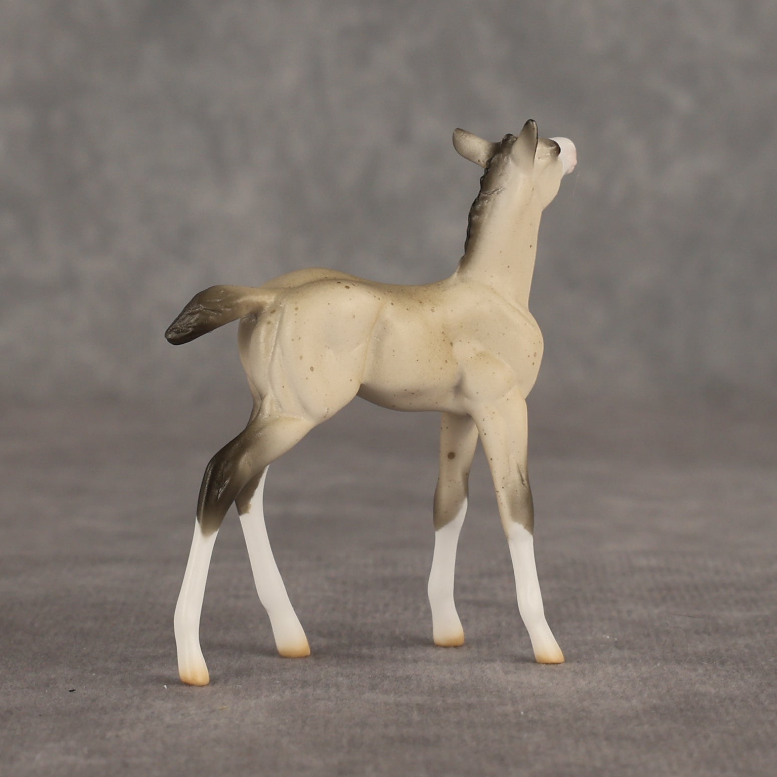 Location OOAK Chip Foal by Ellen Robbins SHCF26