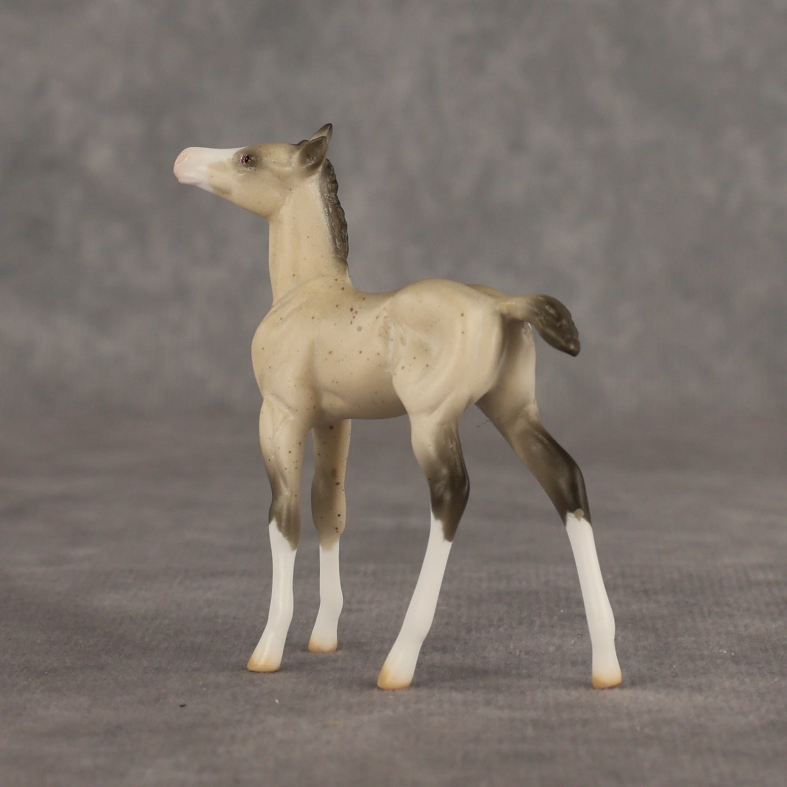 Location OOAK Chip Foal by Ellen Robbins SHCF26