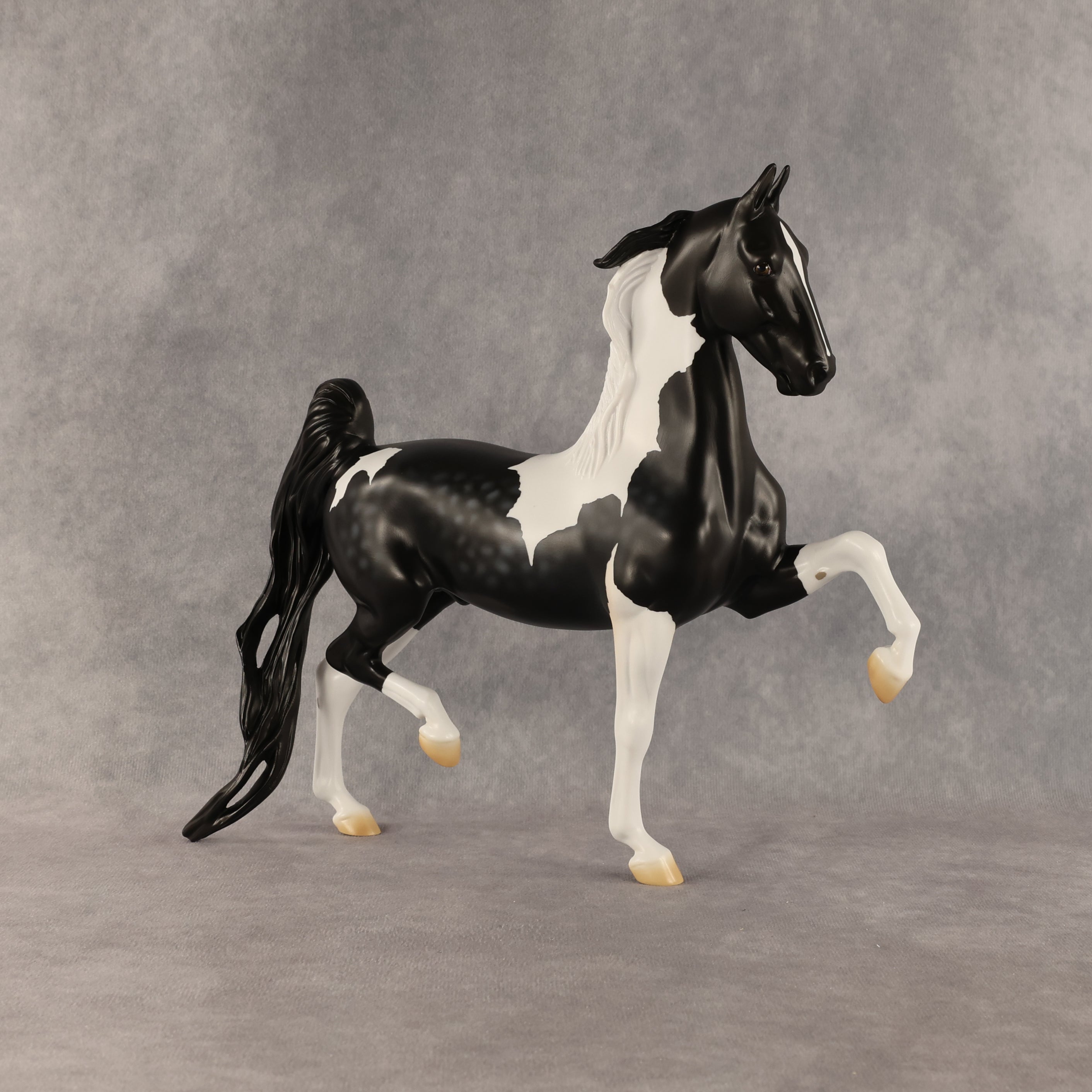 Loon OOAK Saddlebred by Madi Wiseman SHCF26