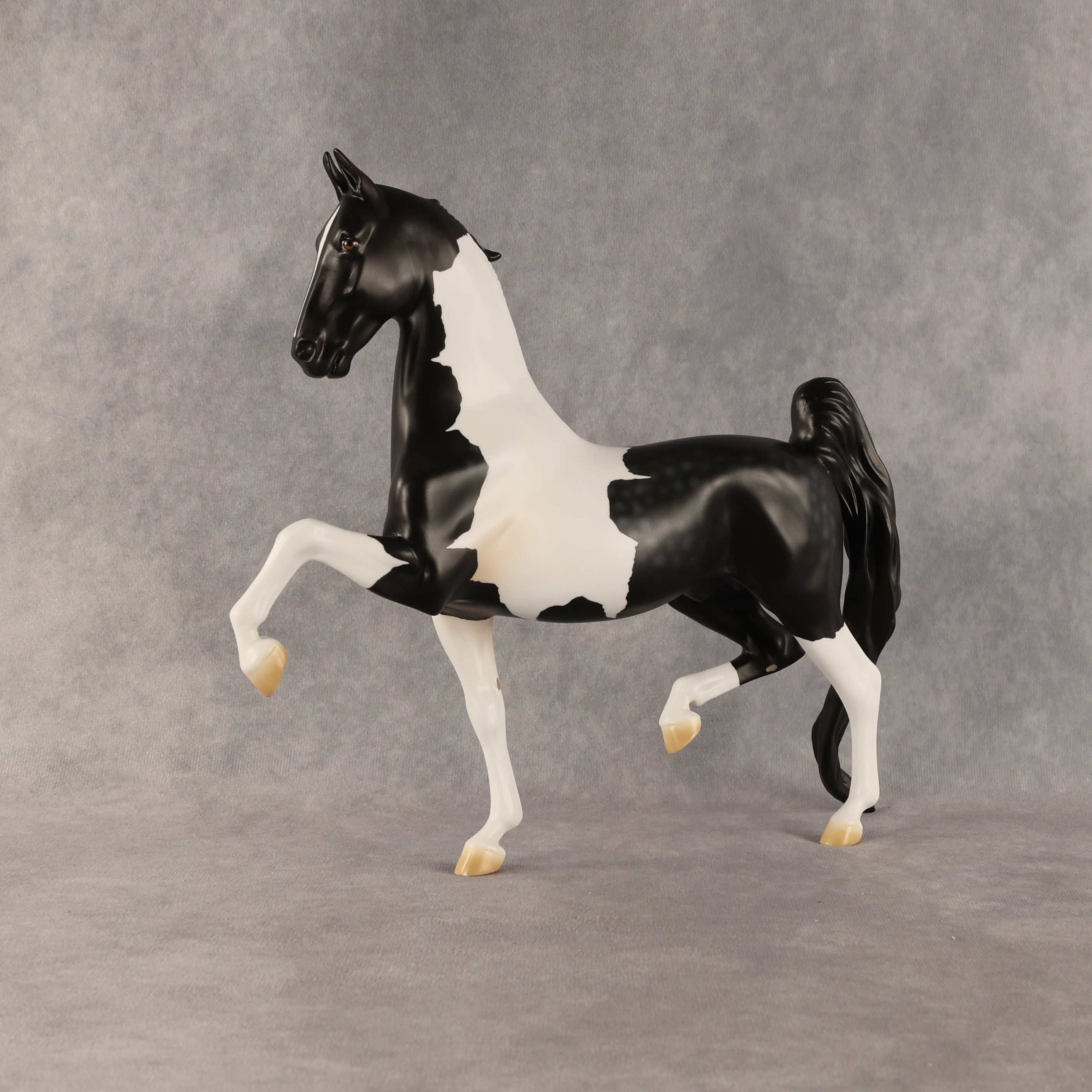 Loon OOAK Saddlebred by Madi Wiseman SHCF26