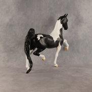 Loon OOAK Saddlebred by Madi Wiseman SHCF26