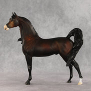 Love Interest OOAK FCM Arabian Stallion by Anna Rieck VV26