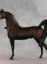Love Interest OOAK FCM Arabian Stallion by Anna Rieck VV26