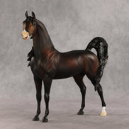 Love Interest OOAK FCM Arabian Stallion by Anna Rieck VV26