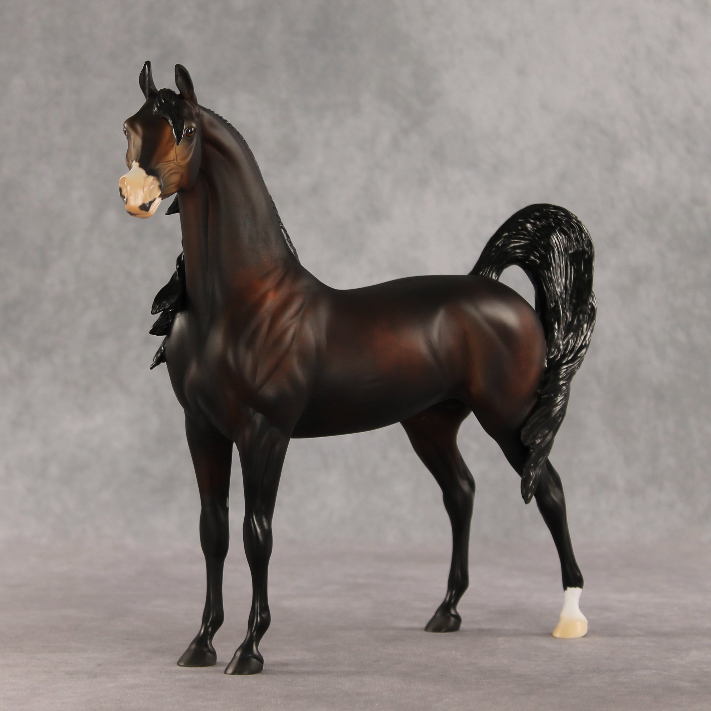 Love Interest OOAK FCM Arabian Stallion by Anna Rieck VV26