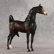 Love Interest OOAK FCM Arabian Stallion by Anna Rieck VV26