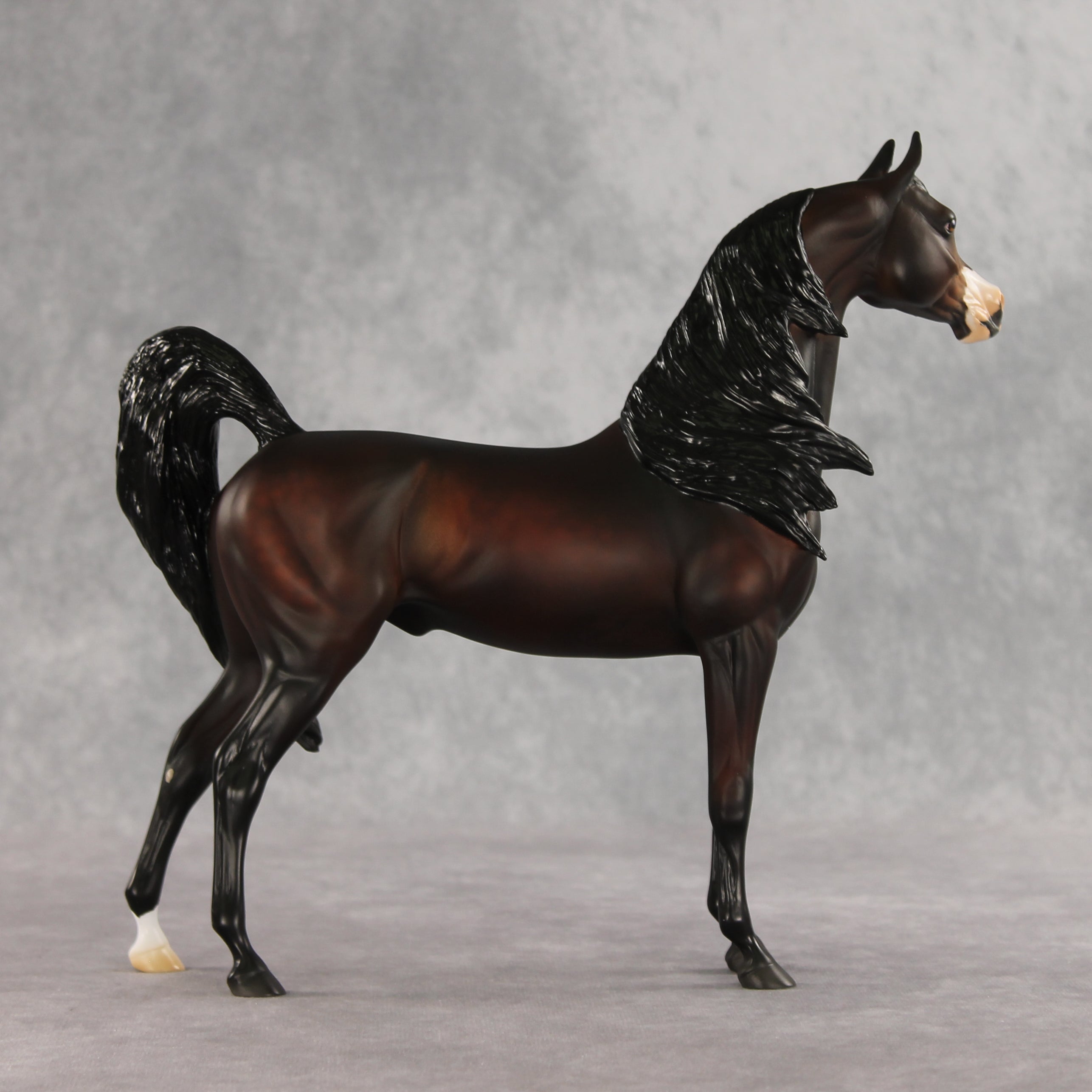 Love Interest OOAK FCM Arabian Stallion by Anna Rieck VV26
