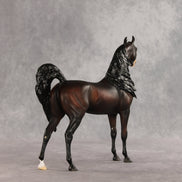 Love Interest OOAK FCM Arabian Stallion by Anna Rieck VV26