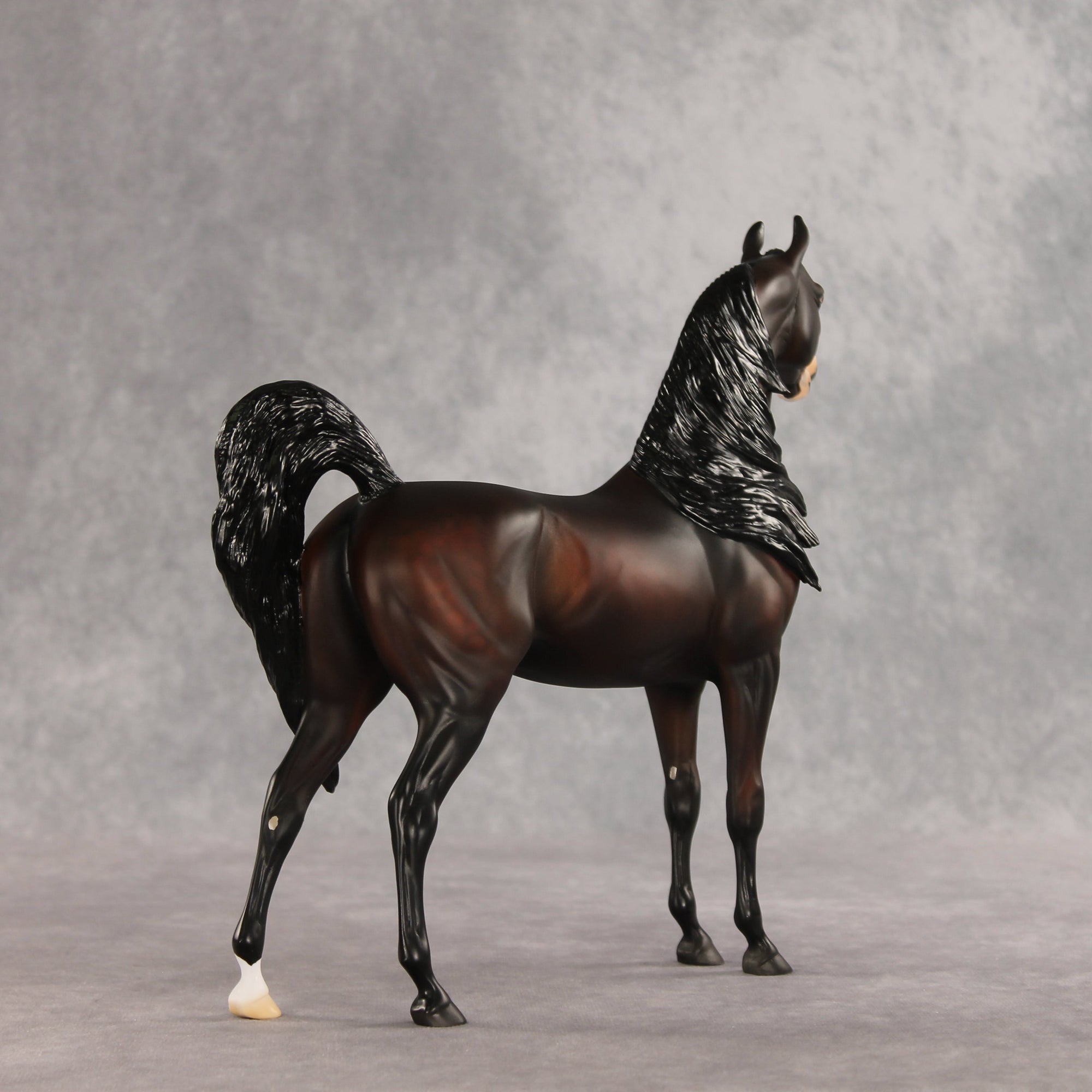 Love Interest OOAK FCM Arabian Stallion by Anna Rieck VV26