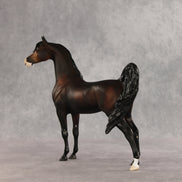 Love Interest OOAK FCM Arabian Stallion by Anna Rieck VV26