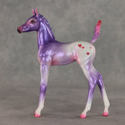 Lovely Lavender OOAK Arabian Foal by Jess Hamill VV26