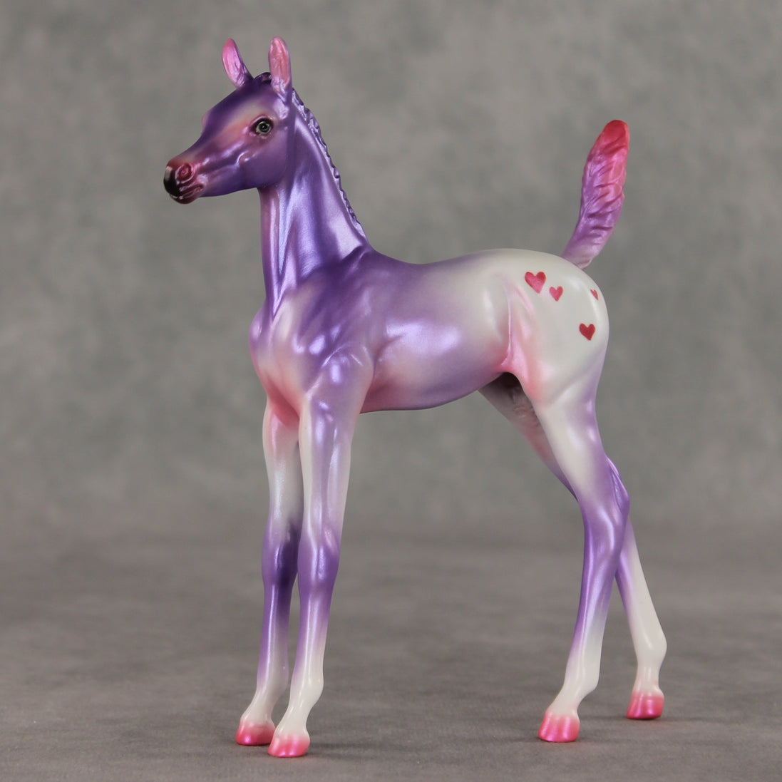 Lovely Lavender OOAK Arabian Foal by Jess Hamill VV26