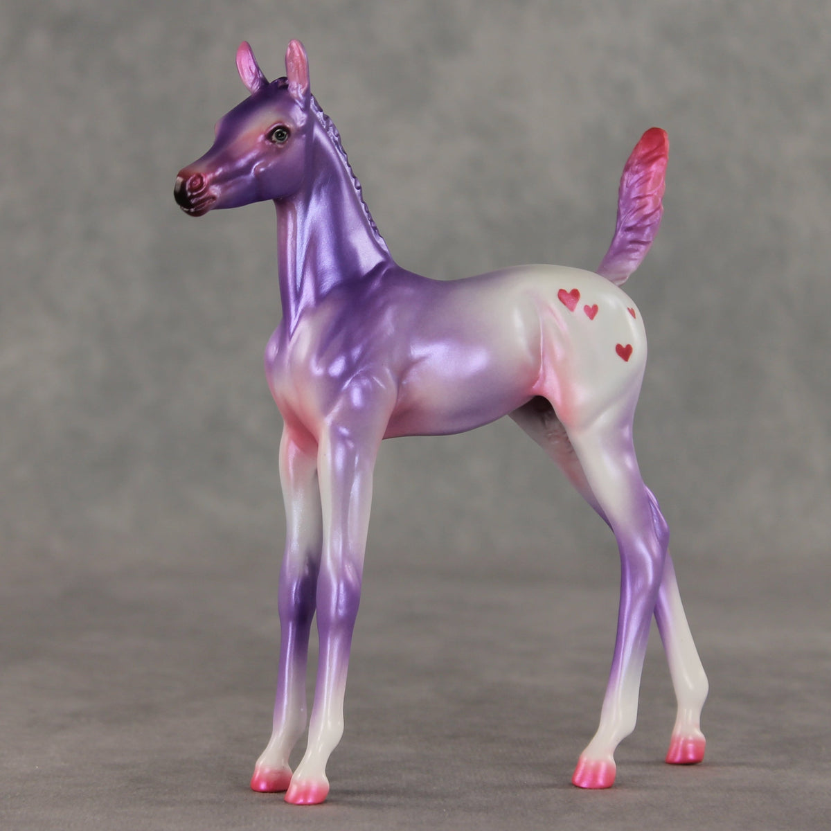 Lovely Lavender OOAK Arabian Foal by Jess Hamill VV26