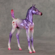 Lovely Lavender OOAK Arabian Foal by Jess Hamill VV26
