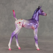 Lovely Lavender OOAK Arabian Foal by Jess Hamill VV26