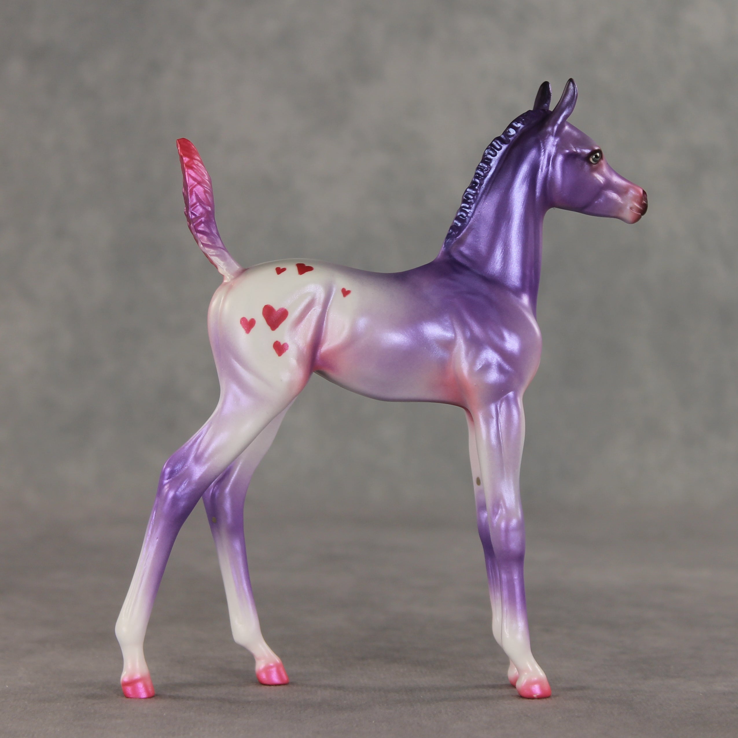Lovely Lavender OOAK Arabian Foal by Jess Hamill VV26