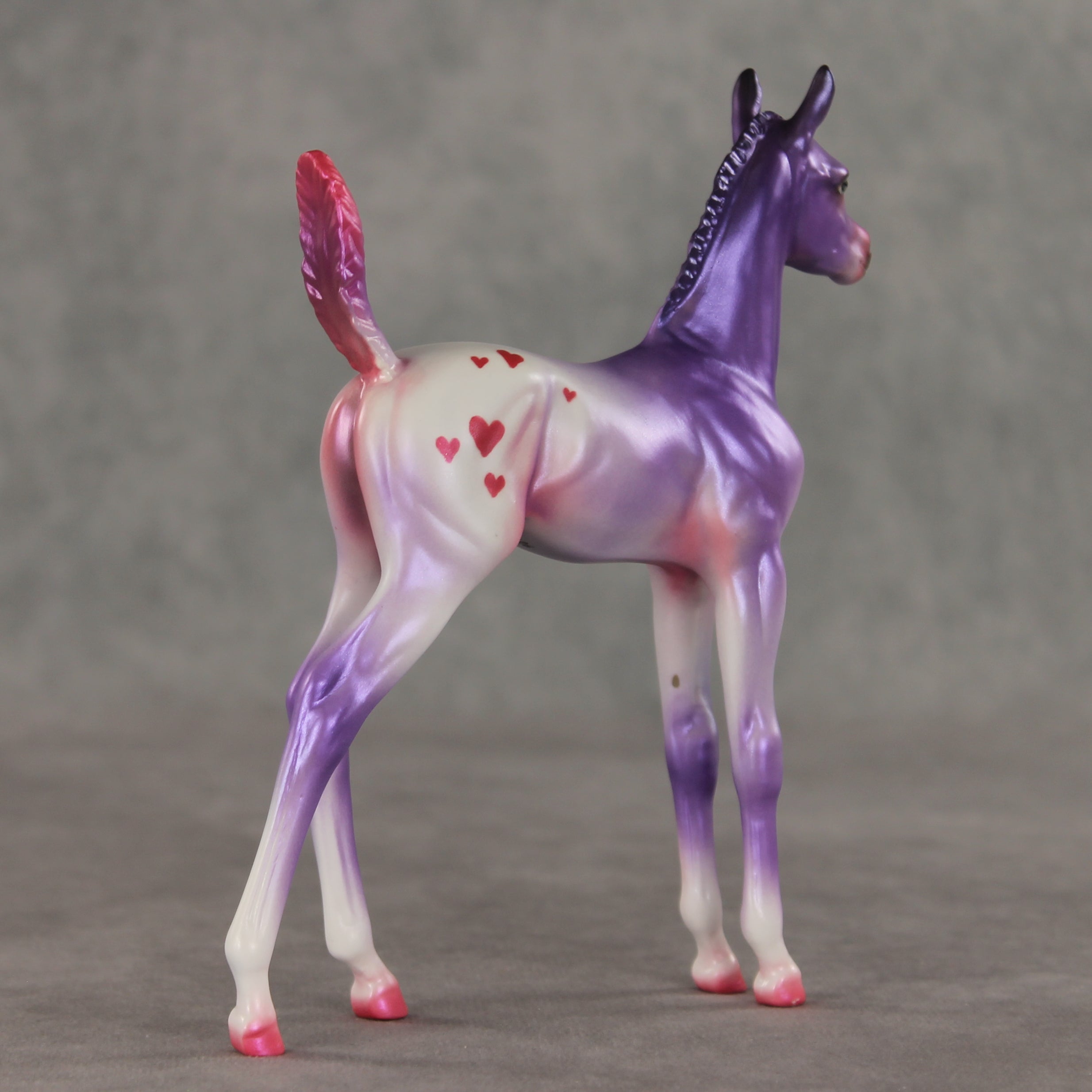 Lovely Lavender OOAK Arabian Foal by Jess Hamill VV26