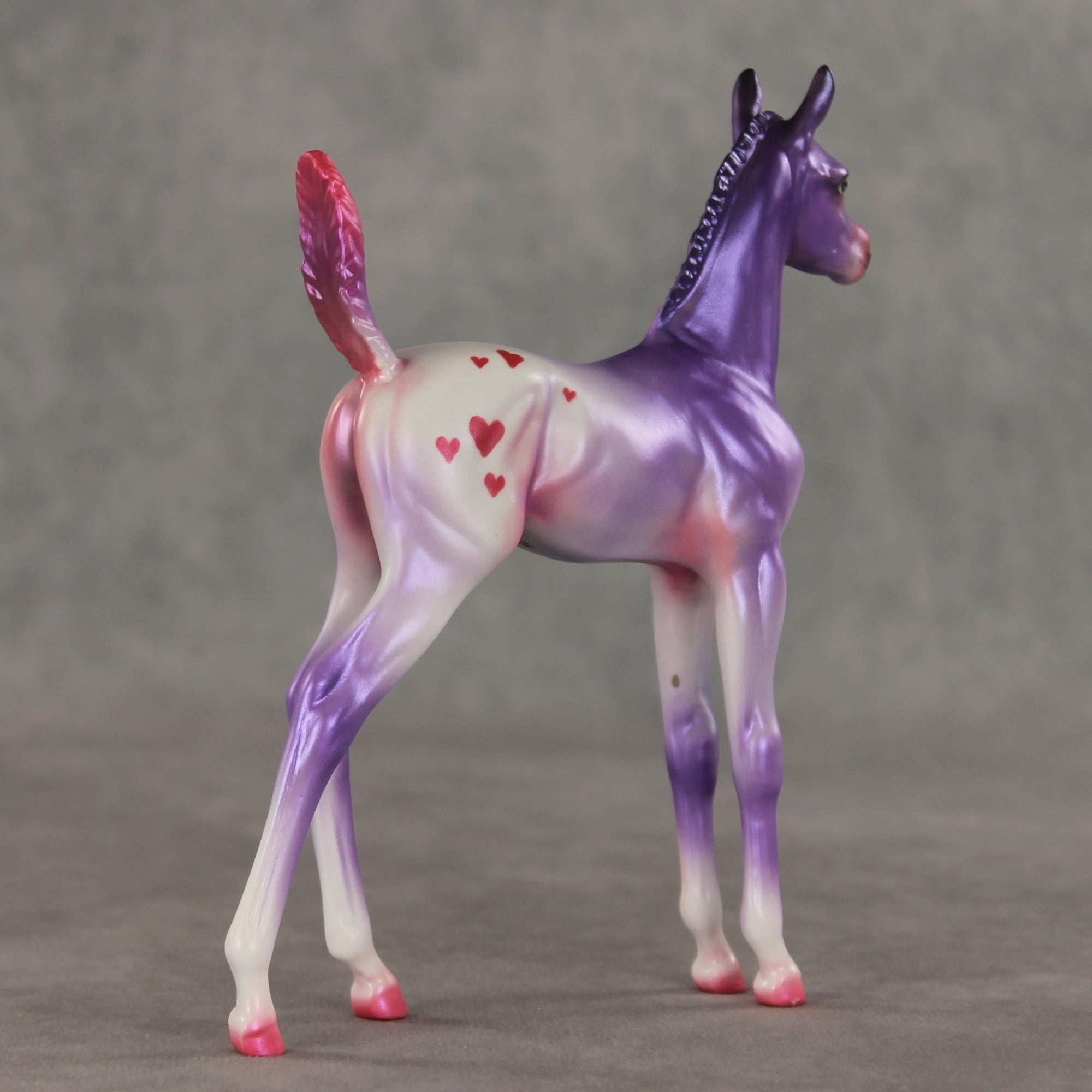 Lovely Lavender OOAK Arabian Foal by Jess Hamill VV26