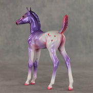Lovely Lavender OOAK Arabian Foal by Jess Hamill VV26