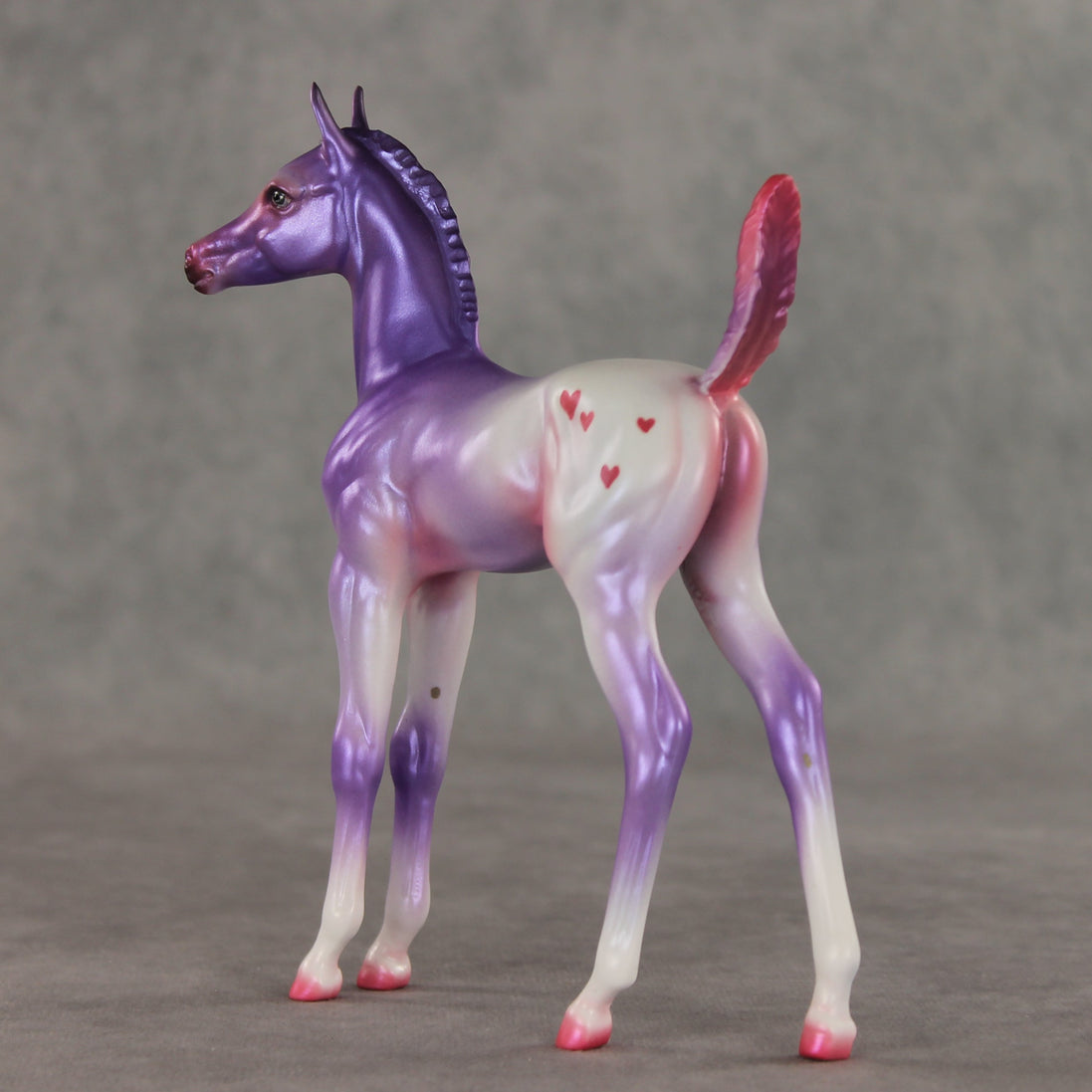 Lovely Lavender OOAK Arabian Foal by Jess Hamill VV26