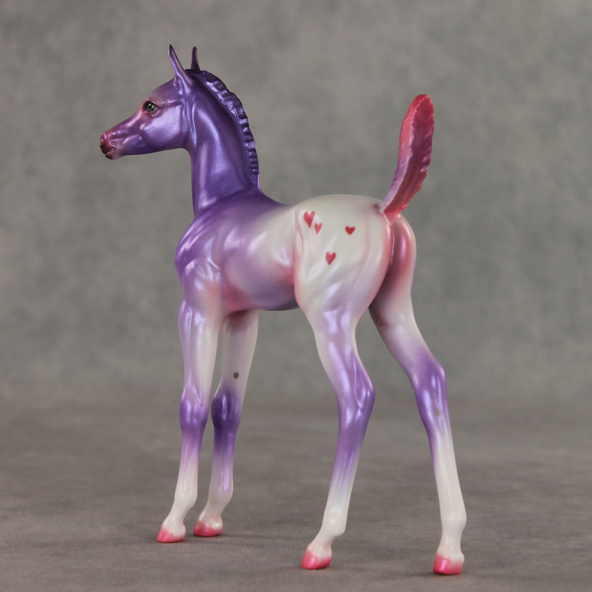 Lovely Lavender OOAK Arabian Foal by Jess Hamill VV26