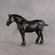 Ember LE-20 FCM Bunny by Madi Wiseman TS26