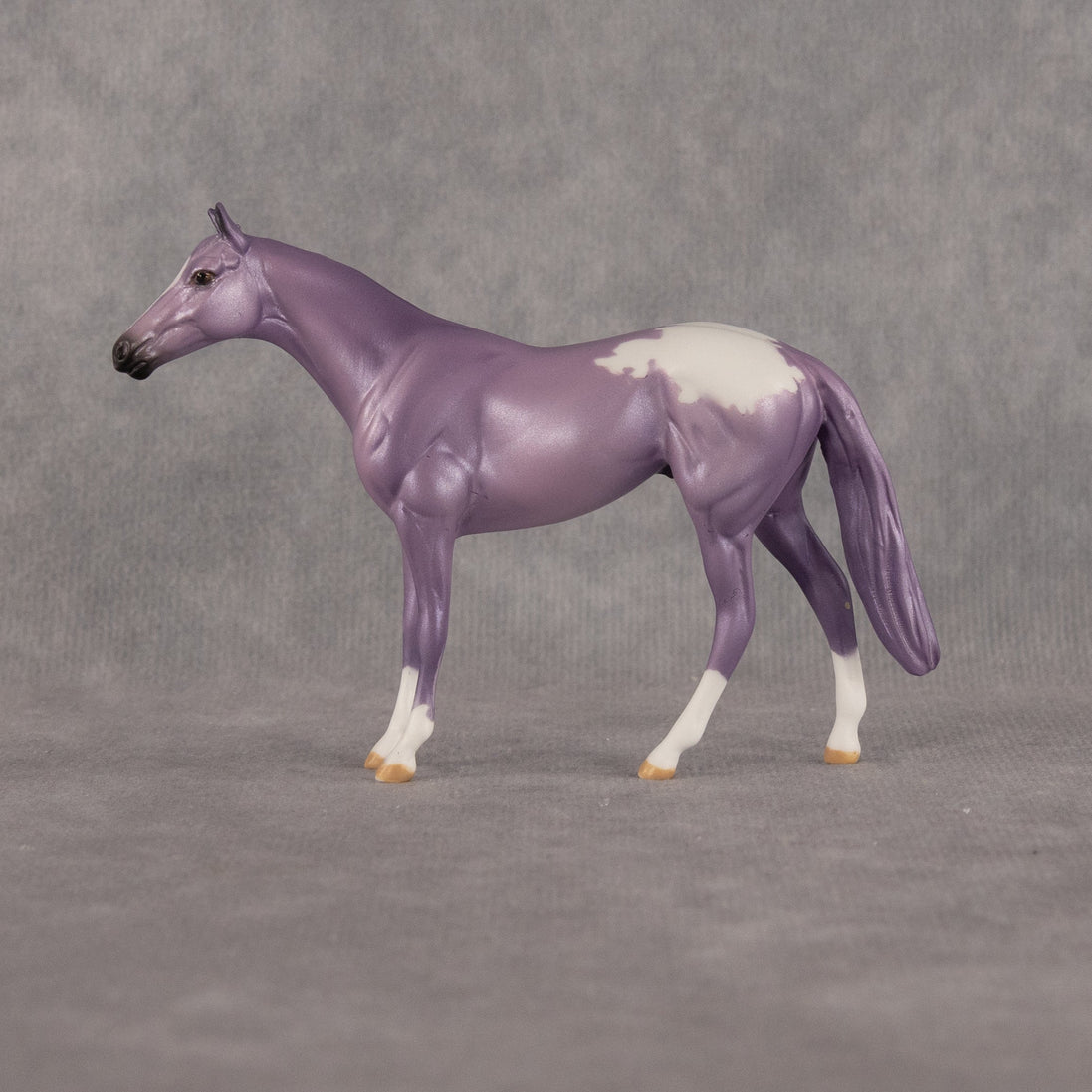 Macaron OOAK Chip Thoroughbred by Dawn Quick LHS26
