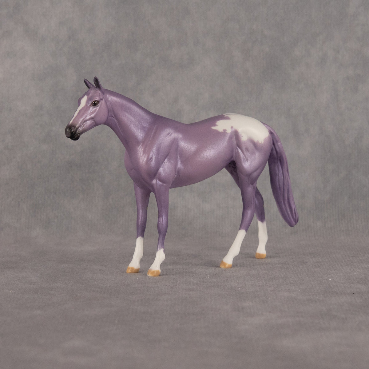Macaron OOAK Chip Thoroughbred by Dawn Quick LHS26