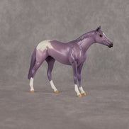Macaron OOAK Chip Thoroughbred by Dawn Quick LHS26