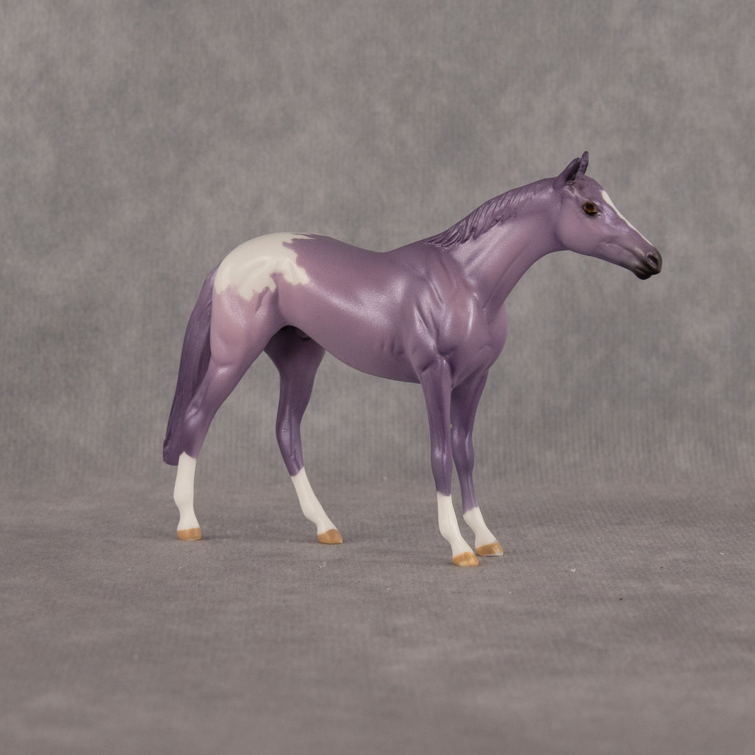 Macaron OOAK Chip Thoroughbred by Dawn Quick LHS26