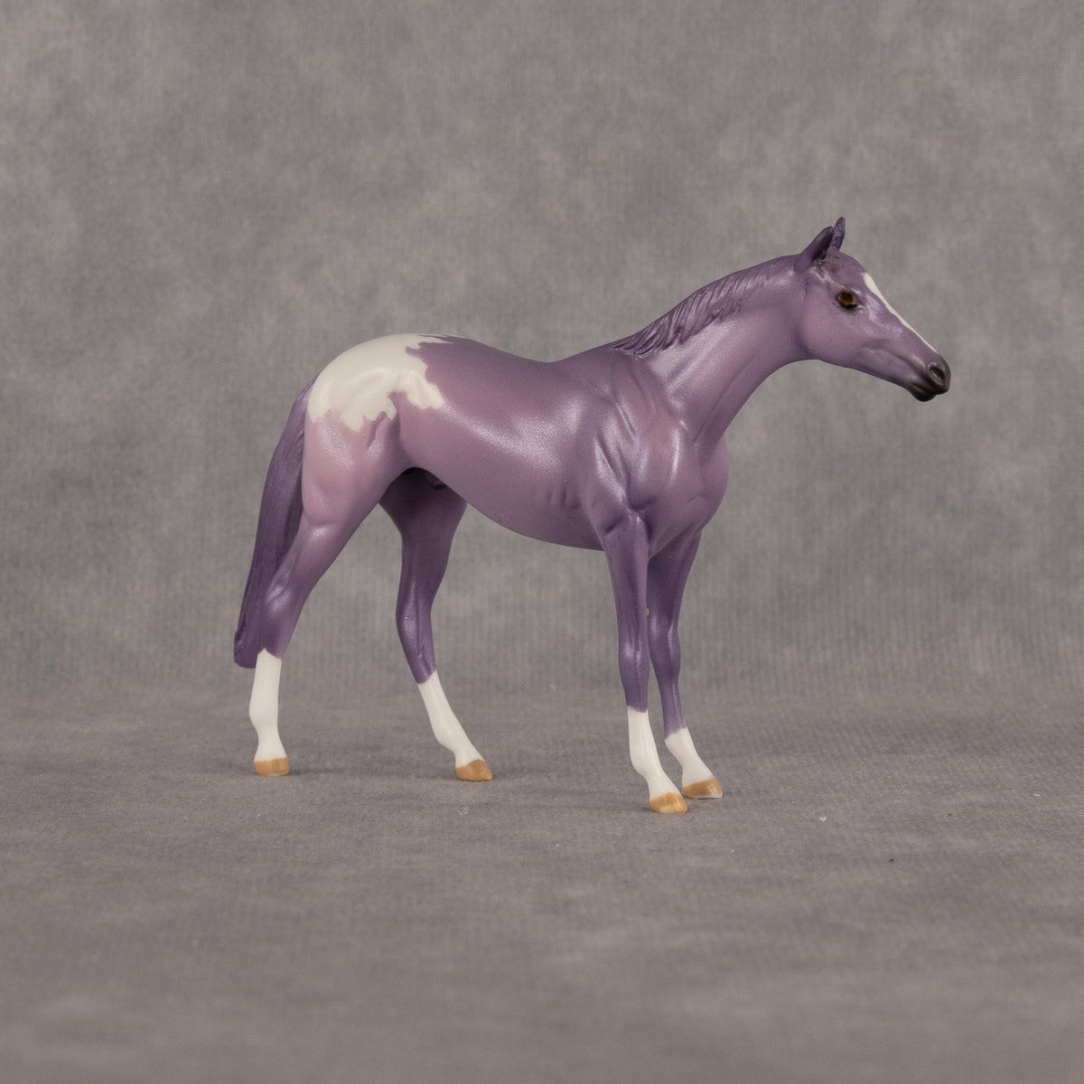 Macaron OOAK Chip Thoroughbred by Dawn Quick LHS26