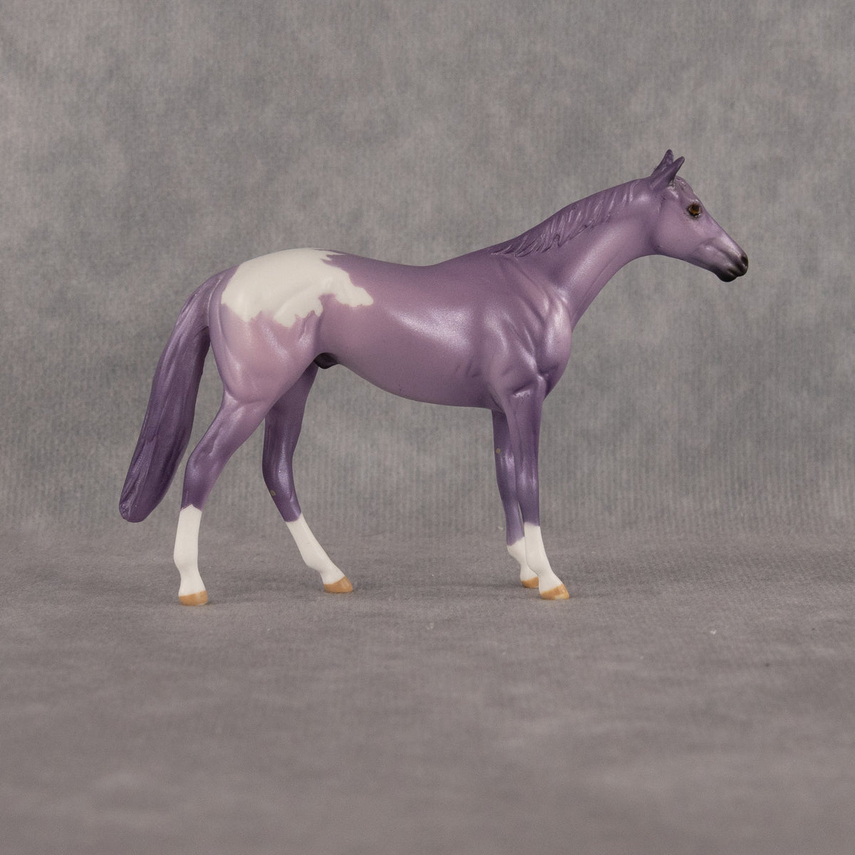 Macaron OOAK Chip Thoroughbred by Dawn Quick LHS26